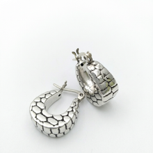 Load image into Gallery viewer, Horseshoe Silver Small Earrings
